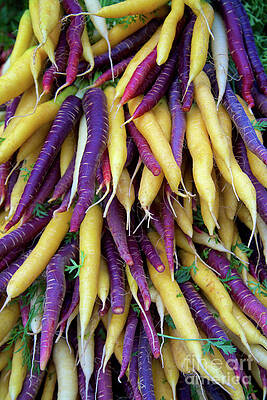 Colorful Wall Art featuring the photograph Heirloom Rainbow Carrots by Bruce Block