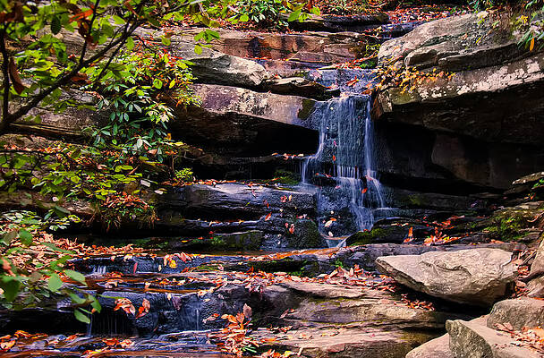 North Carolina Wall Art featuring the photograph Hidden Falls 5 by Flees Photos