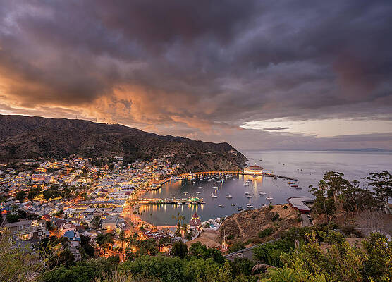 Usa Photograph - High Definition Panorama Of Avalon On Catalina Island by Steven Heap