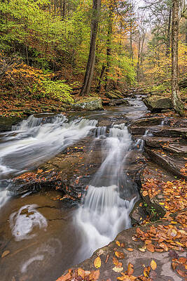 Pennsylvania Wall Art featuring the photograph Higher Power #2 by Todd Wilkinson