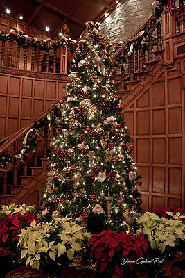 Wall Art featuring the photograph Home For Christmas by Joann Copeland-Paul