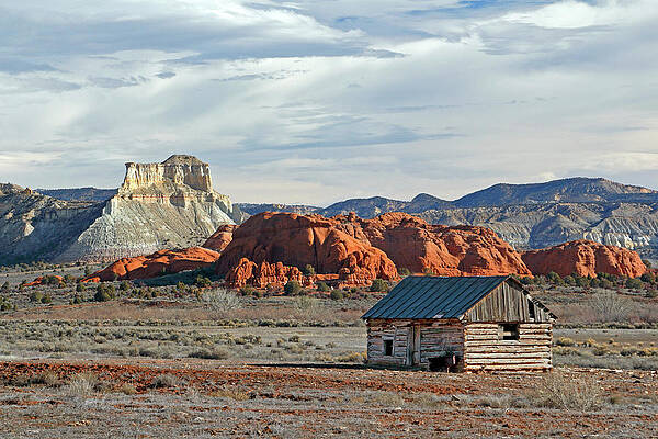 Country Wall Art featuring the photograph Home On The Range by Nicholas Blackwell