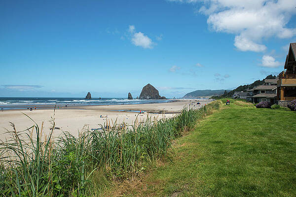 Oregon Wall Art featuring the photograph Homes On Cannon Beach by Tom Cochran