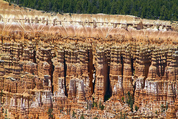 Wall Art featuring the photograph Hoodoos Bryce Canyon by Waterdancer