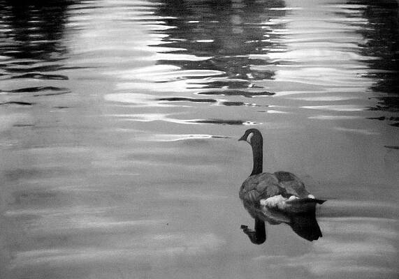 Painting - Hope by David Vincenzi