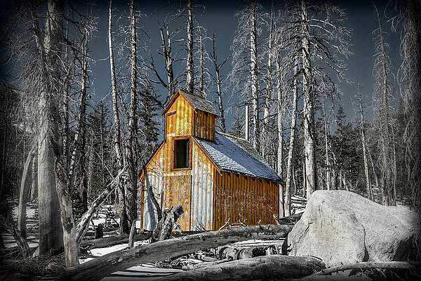 Rustic Wall Art featuring the photograph Horseshoe Lake Deserted by Kelley King