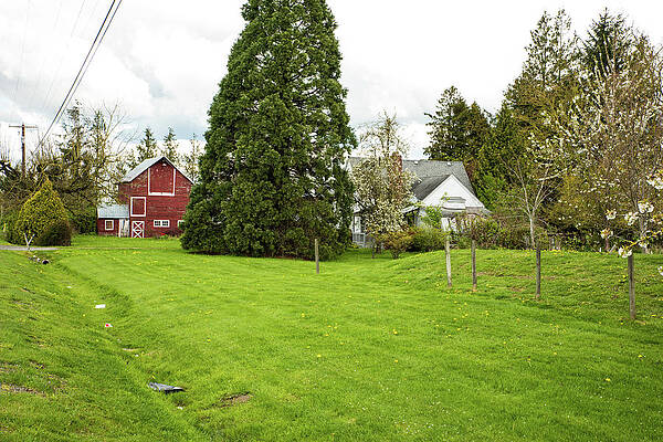 Washington Photograph - House By The Side Of The Road by Tom Cochran