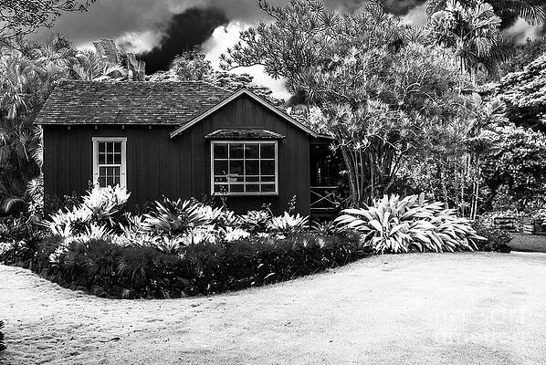 Wall Art featuring the photograph House In Jungle by Blake Webster