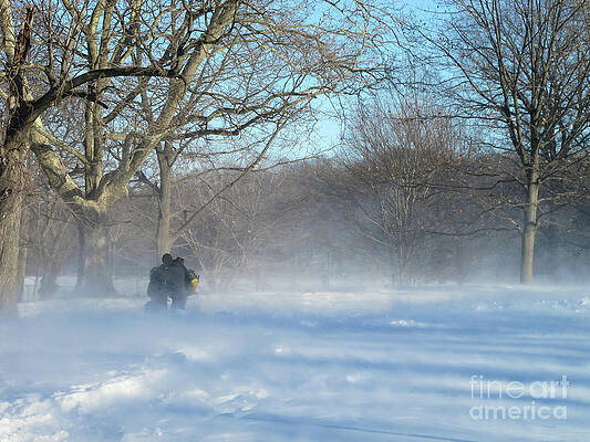 Tree Wall Art featuring the photograph Huddled by Onedayoneimage Photography