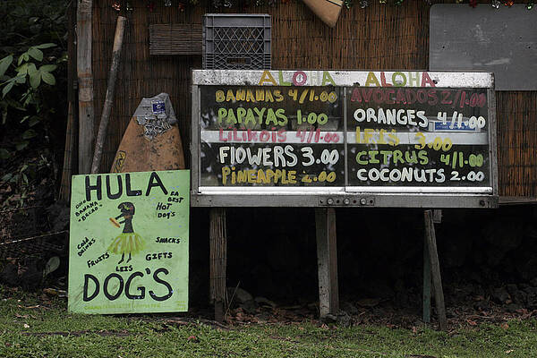 Wall Art featuring the photograph Hula Dogs by Kenneth Campbell