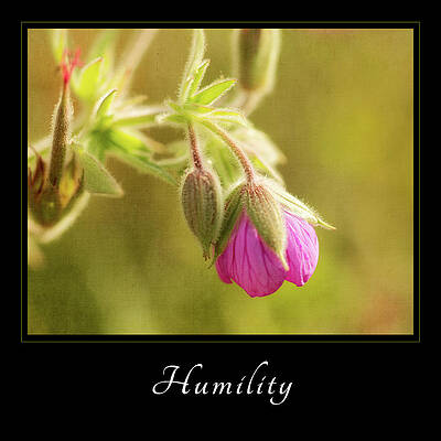 Graceful Bloom Wall Art