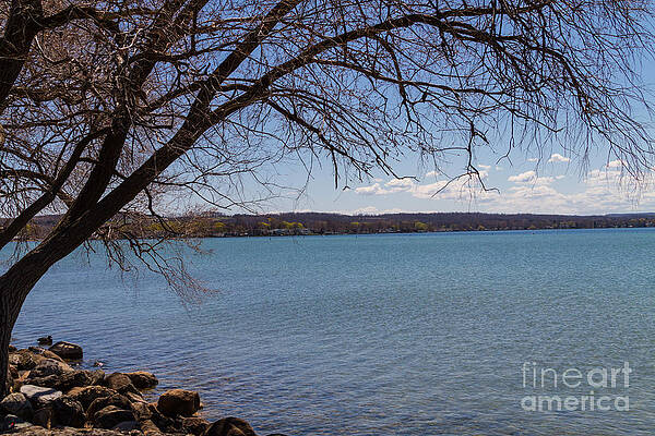 Finger Lake Photograph - Hung Over by William Norton