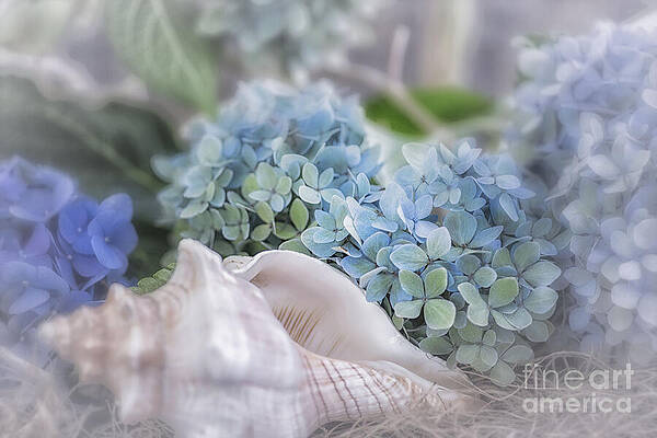 Wall Art featuring the photograph Hydrangeas By The Sea by Mary Lou Chmura