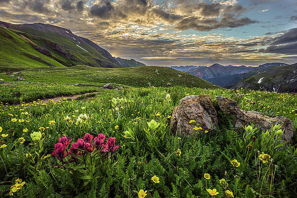 Color Wall Art featuring the photograph Ice Lake Sunrise by Jeff Stoddart