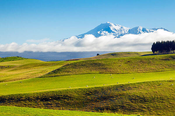 Country Wall Art featuring the photograph Idyll by Nicholas Blackwell