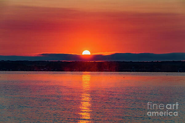 Sunrise Photograph - I'm Back by William Norton