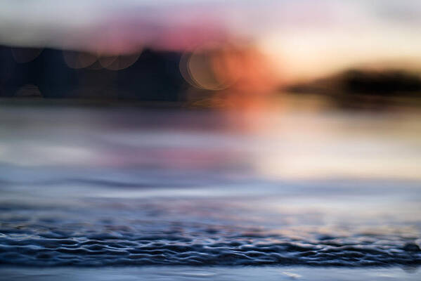 Serene Wall Art featuring the photograph In-between Days by Laura Fasulo