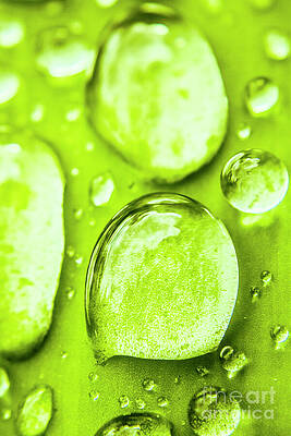 Natural Wall Art featuring the photograph In Natural Macro by Jorgo Photography