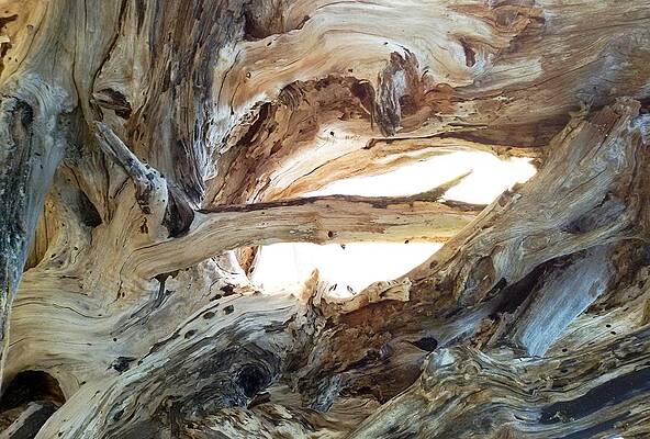 Abstract Photograph - Intersection by Steven Robiner