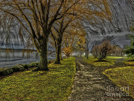 Winter Photograph - Into The Fog by William Norton