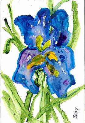 Flower Wall Art featuring the painting Iris - 1 by Stacey Torres