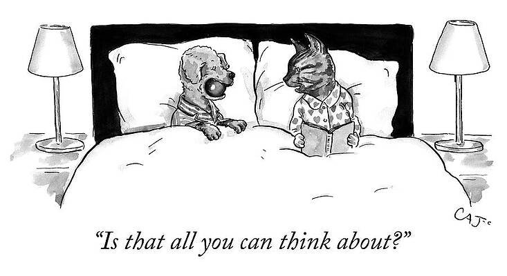 Dog and Cat in Bed Cartoon Drawing