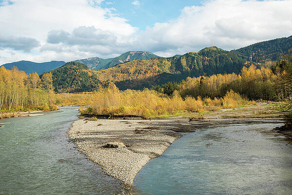 Fall Wall Art featuring the photograph Isle Of Gold by Tom Cochran