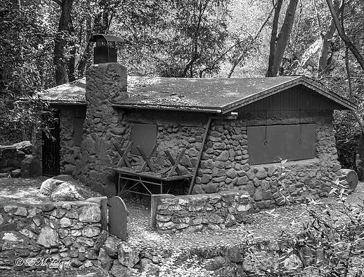 Nature Wall Art featuring the photograph Isolation by Ed Clark