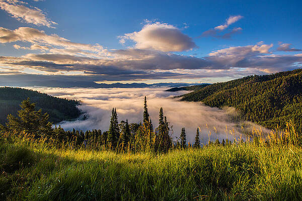 Wall Art featuring the photograph Jackson Hole From Above by Adam Mateo Fierro