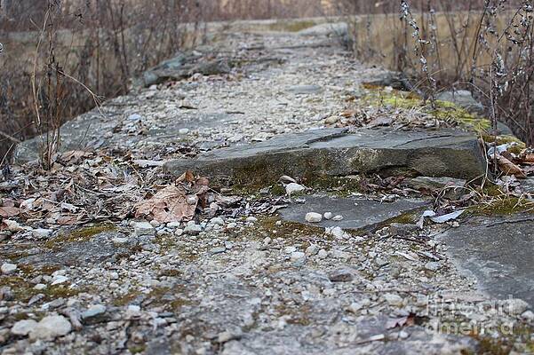 Wall Art featuring the photograph Jackson Lock Detail 2 by Christopher Lotito