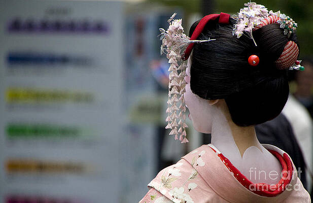 Flower Photograph - Japanese Geisha by Waterdancer