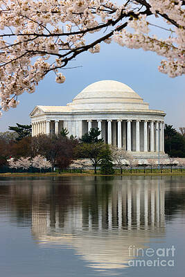 Reflection Wall Art featuring the photograph Jefferson Memorial And Reflection by Clarence Holmes