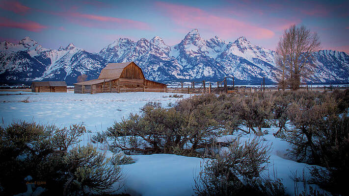 Wall Art featuring the photograph John Moulten Barn N Sage by Carla E