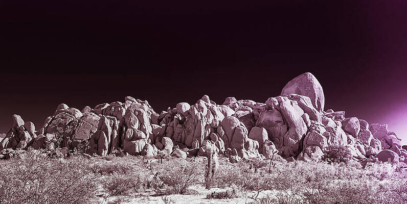 Wall Art featuring the photograph Joshua Tree Moonscape by Blake Webster