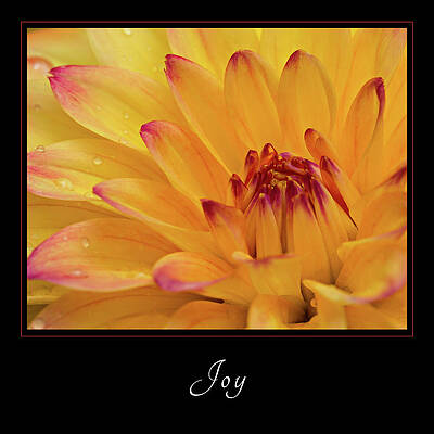 Wall Art featuring the photograph Joy 1 by Mary Jo Allen