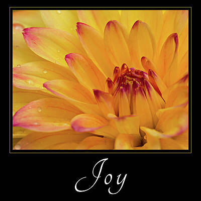 Bright Yellow Dahlia Close-Up Wall Art
