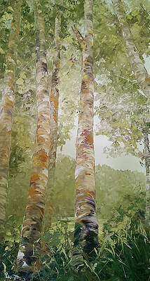 Wall Art featuring the painting June Birch by Raette Meredith