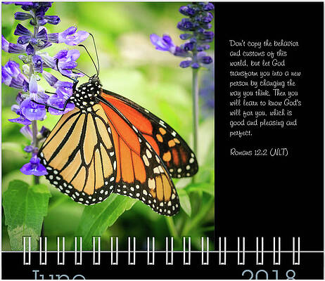 Inspirational Photograph - June Inspirational Preview by Joni Eskridge