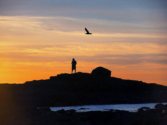 Wall Art featuring the photograph Just The Two Of Us by Joe Schofield