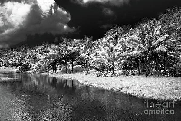 Wall Art featuring the photograph Kauai - South Shore #1 by Blake Webster