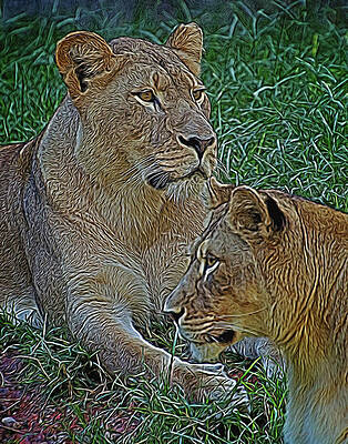 Wall Art featuring the photograph Keeping Watch by Jacalyn Ackerman