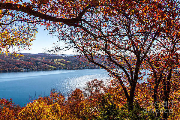 Finger Lake Photograph - Keuka Lake Vista by William Norton