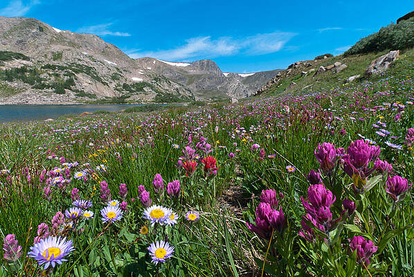 Sky Wall Art featuring the photograph King Lake Summer Landscape by Cascade Colors