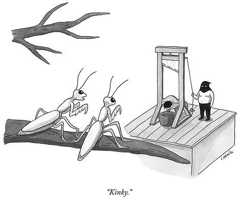 Hood Drawing - Kinky by Alice Cheng