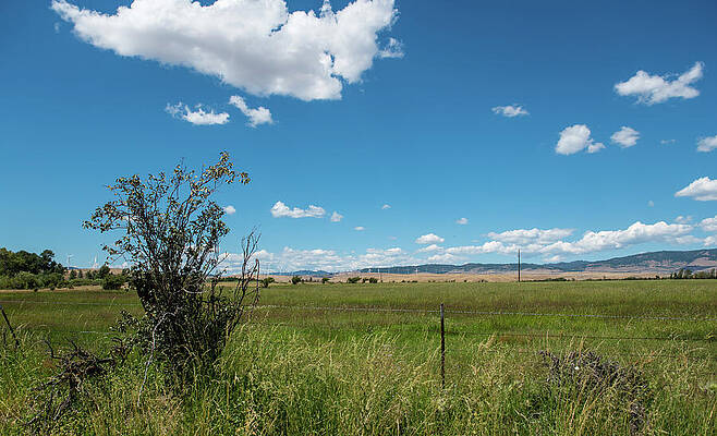 Washington Photograph - Kittitas County Ranchland by Tom Cochran