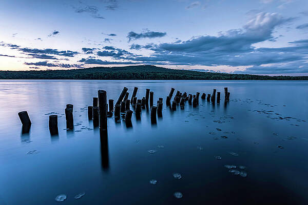 Beautiful Photograph - Knee Deep by Todd Wilkinson