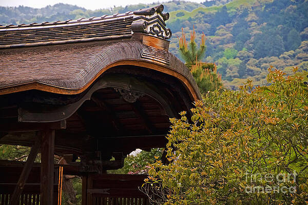 Flower Photograph - Konchi-In Temple by Waterdancer