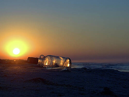 Photograph - Kraken by Robert Newman
