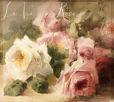 Rose Wall Art for Sale by Mindy Sommers