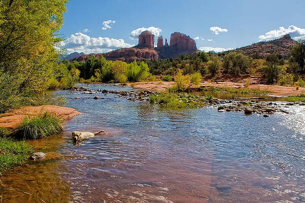 Mountain Wall Art featuring the photograph Lab In River At Sedona Arizona by Waterdancer